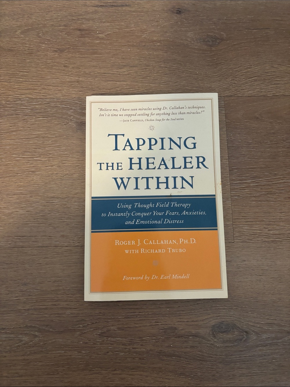 Tapping the Healer Within by Roger J. Callahan